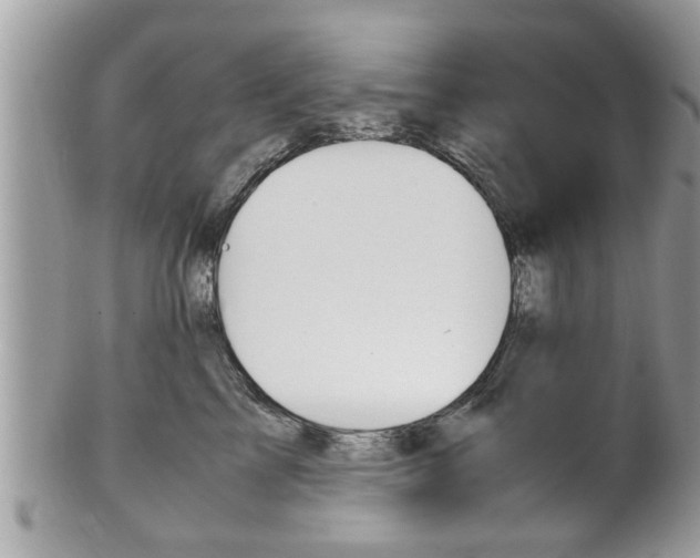 X0000100480713200806130732