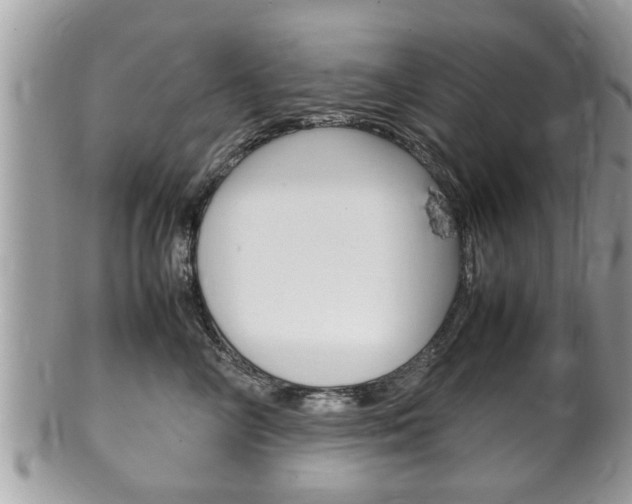 X0000100480714200806130732