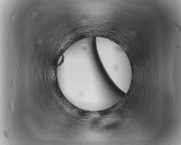 X0000100480715200806130732