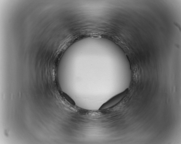 X0000100480716200806130732