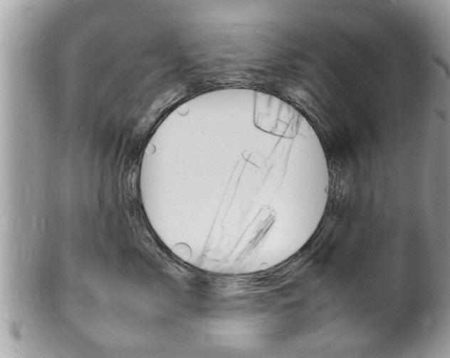 X0000100480717200806130732