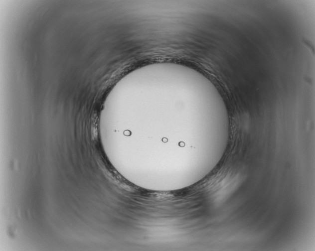 X0000100480719200806130732