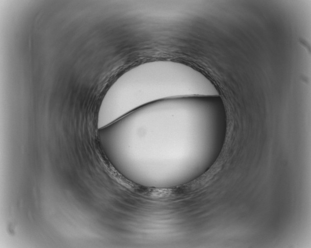 X0000100480720200806130732