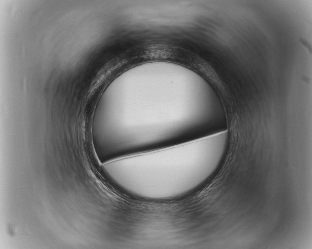 X0000100480722200806130732