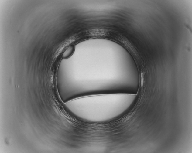 X0000100480723200806130732