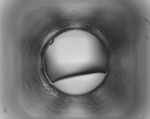 X0000100480724200806130732