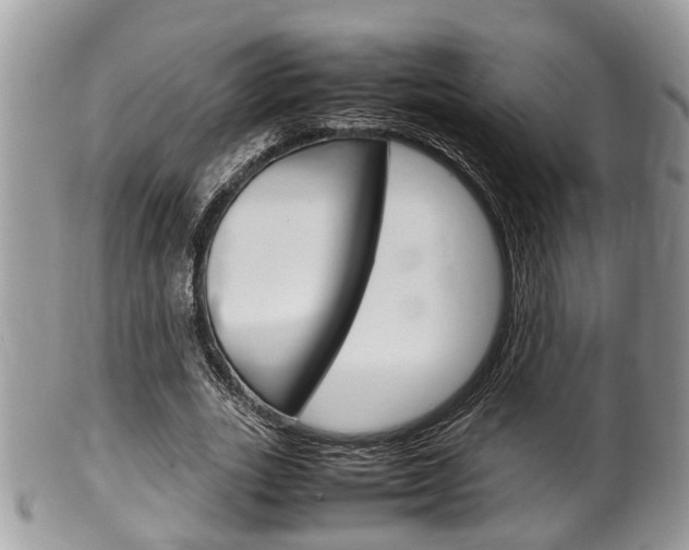 X0000100480727200806130732