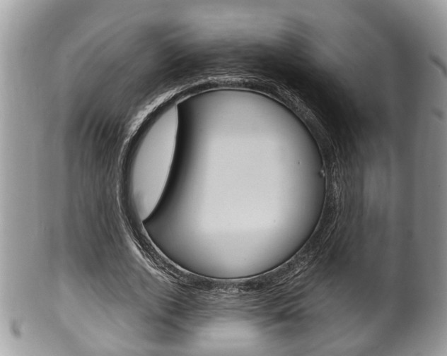 X0000100480728200806130732