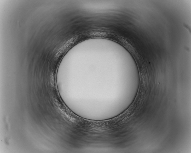 X0000100480729200806130732