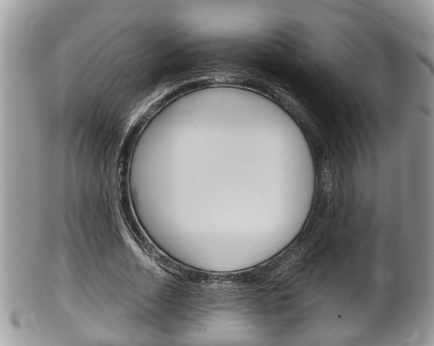 X0000100480730200806130732
