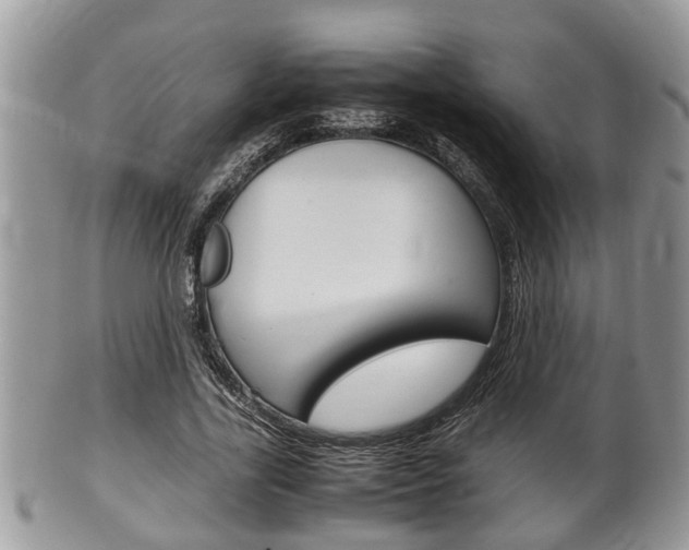 X0000100480731200806130732