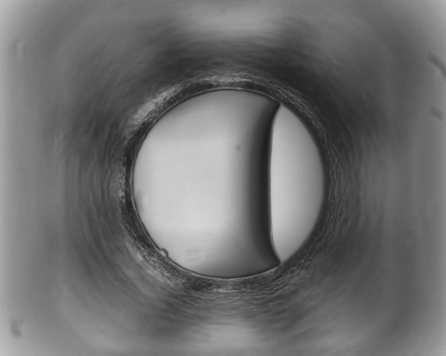 X0000100480732200806130732