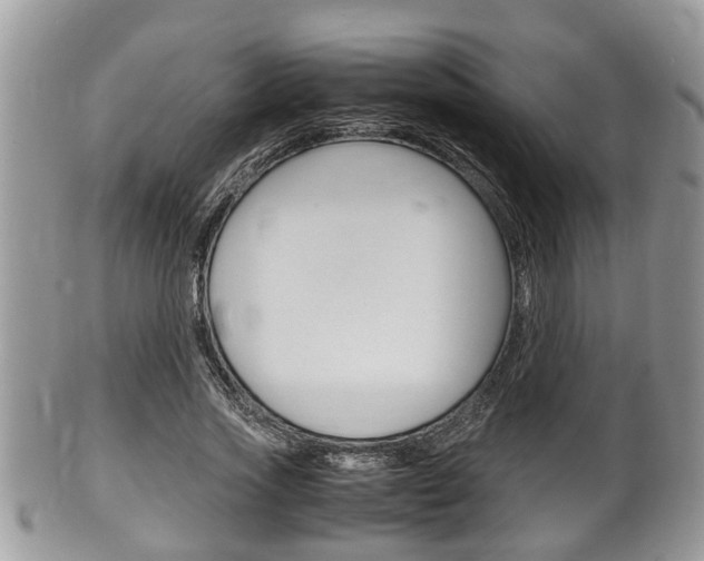X0000100480733200806130732