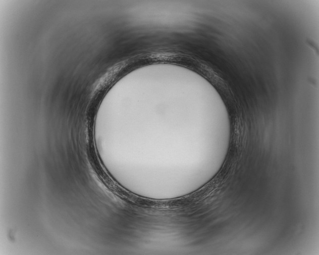 X0000100480734200806130732