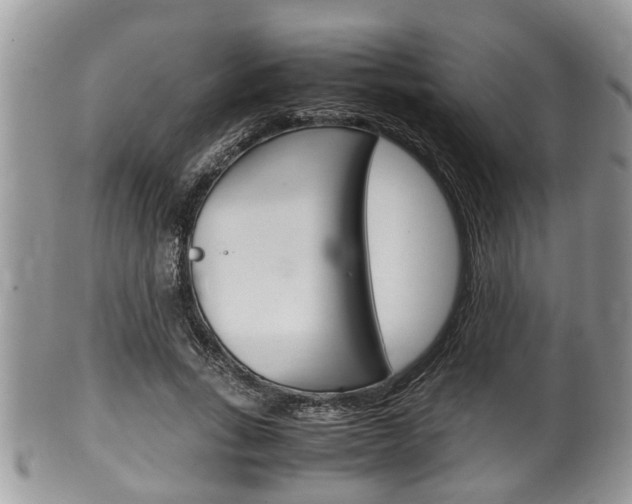 X0000100480735200806130732