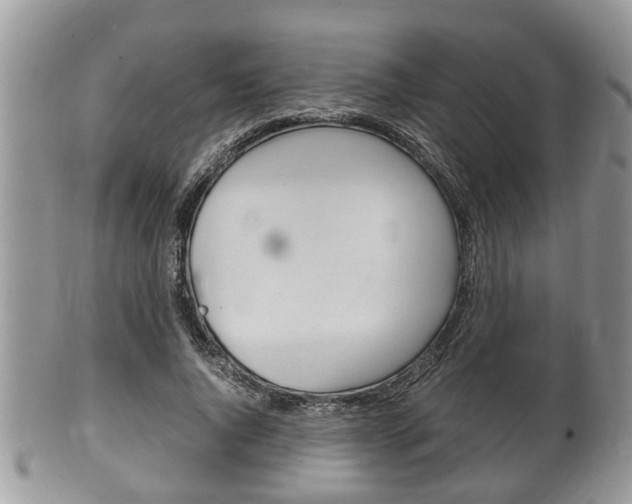 X0000100480736200806130732