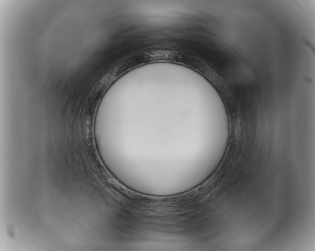X0000100480737200806130732