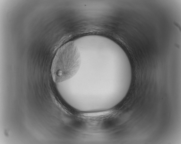 X0000100480738200806130732