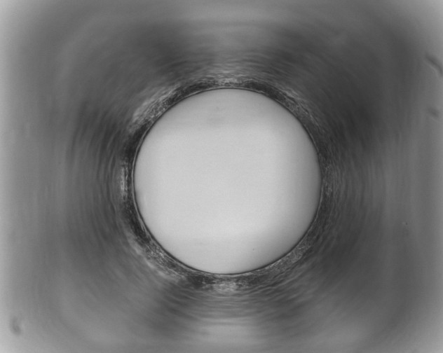 X0000100480740200806130732
