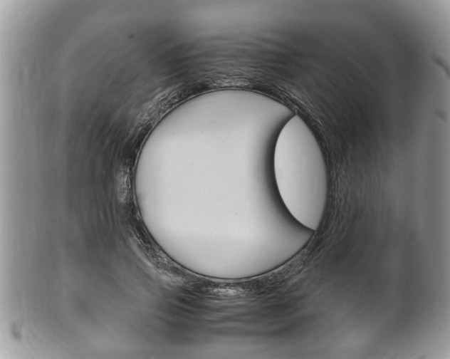 X0000100480741200806130732