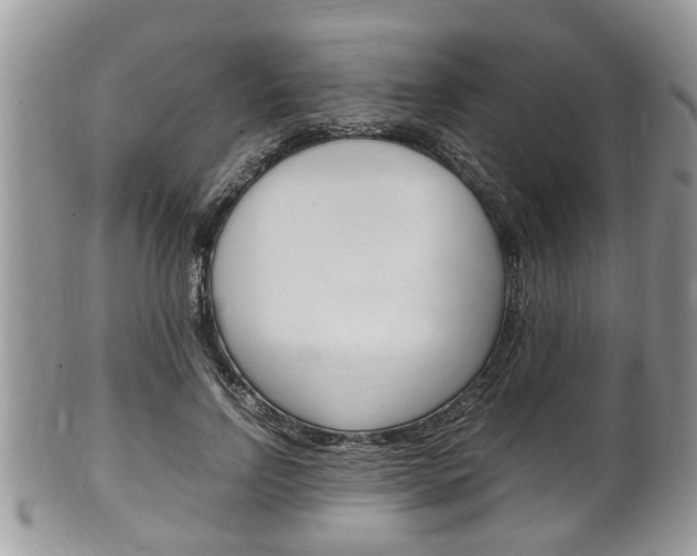 X0000100480742200806130732