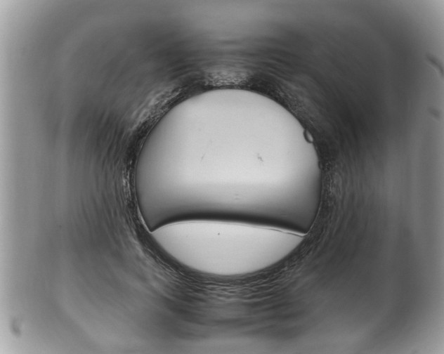 X0000100480743200806130732