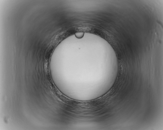 X0000100480745200806130732