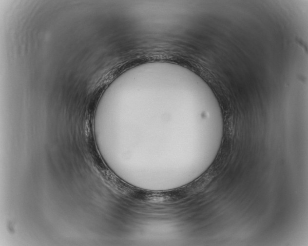 X0000100480746200806130732