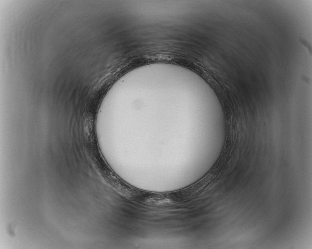 X0000100480747200806130732