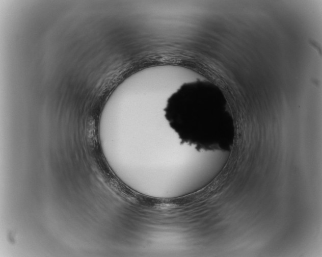 X0000100480748200806130732