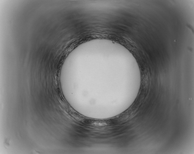 X0000100480749200806130732