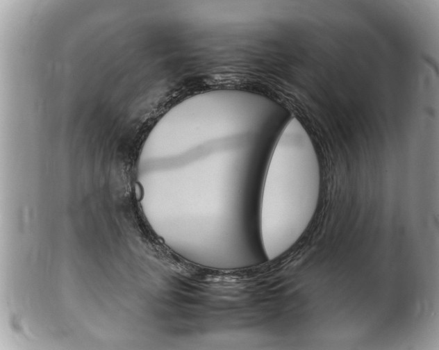 X0000100480751200806130732
