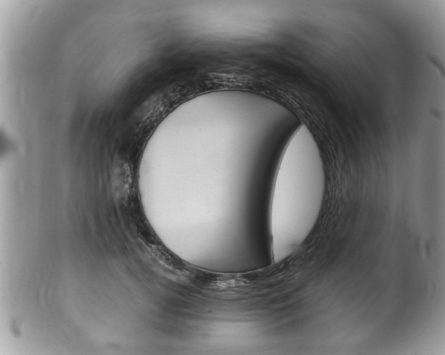 X0000100480752200806130732
