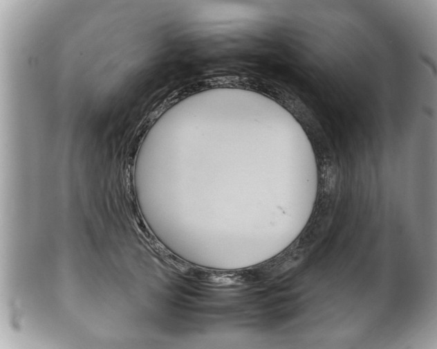 X0000100480753200806130732