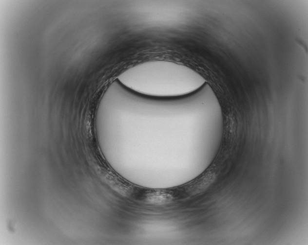 X0000100480754200806130732