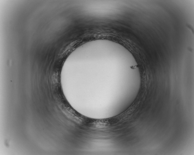 X0000100480756200806130732