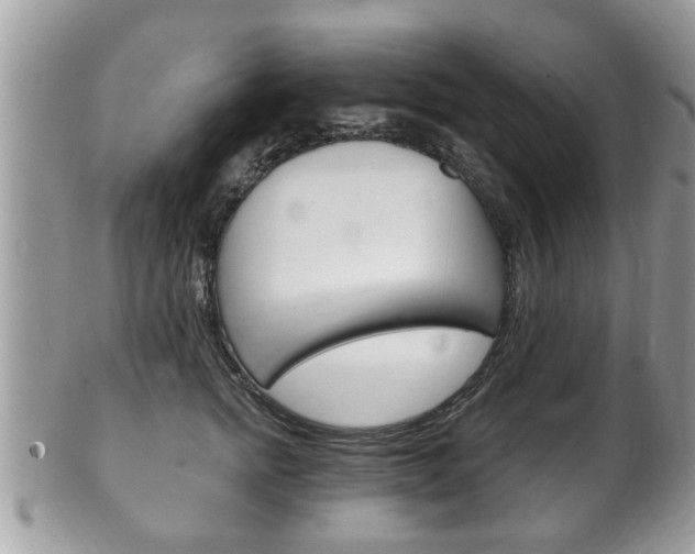 X0000100480758200806130732