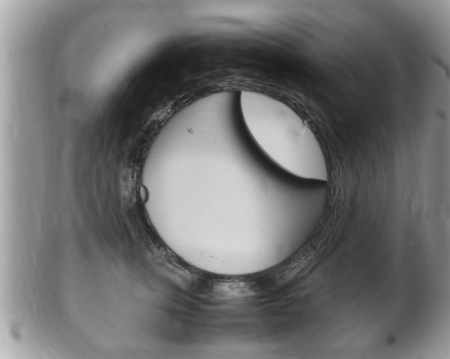 X0000100480759200806130732