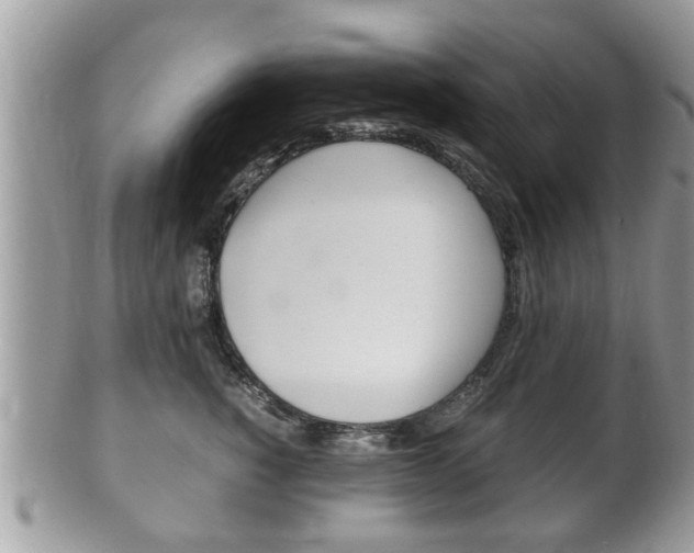 X0000100480760200806130732