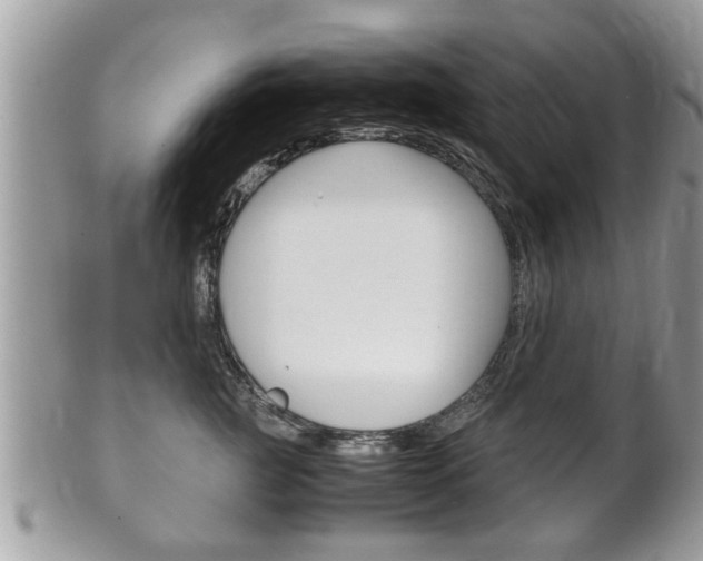 X0000100480761200806130732