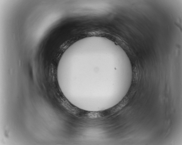 X0000100480762200806130732