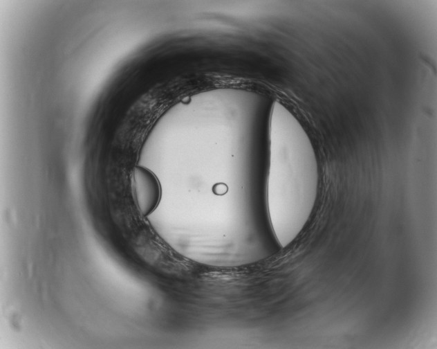 X0000100480763200806130732