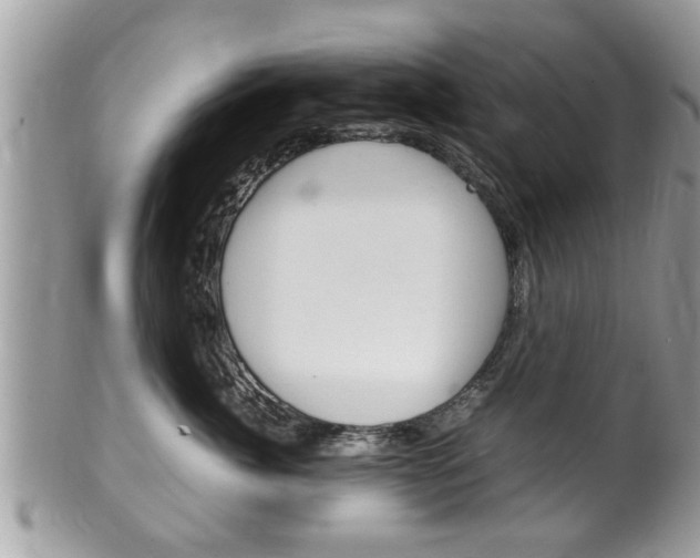 X0000100480764200806130732
