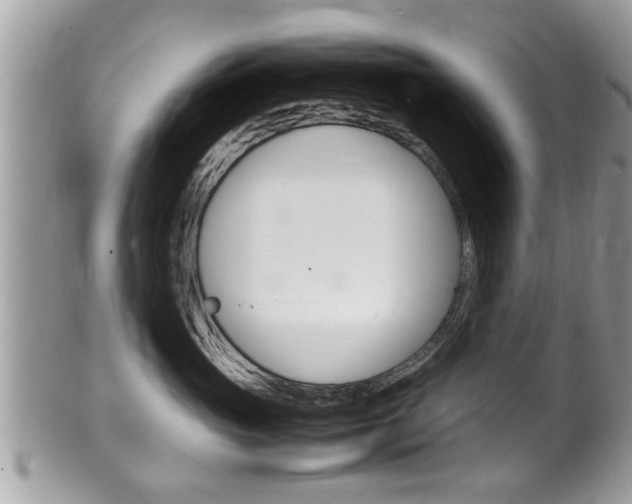 X0000100480765200806130732