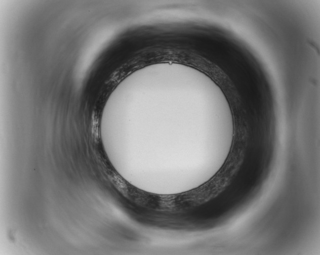 X0000100480766200806130732