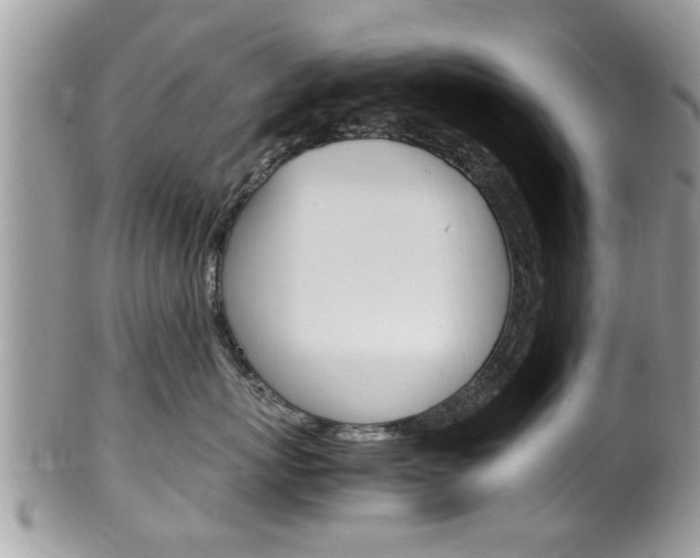X0000100480767200806130732