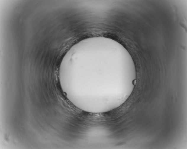 X0000100480768200806130732