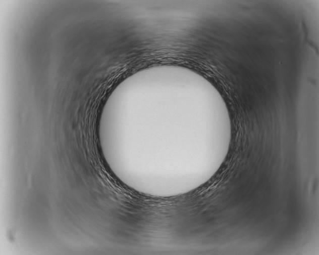 X0000100480769200806130732