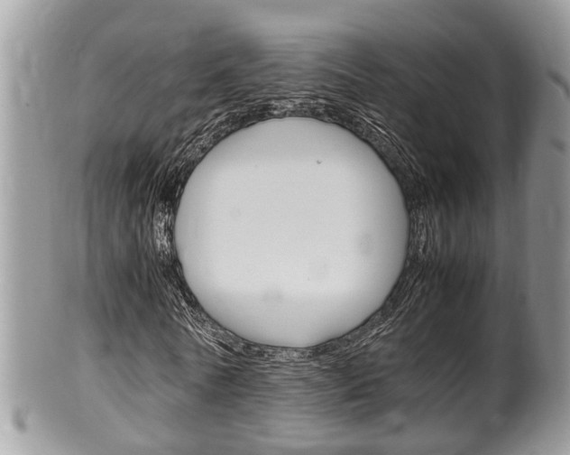 X0000100480770200806130732