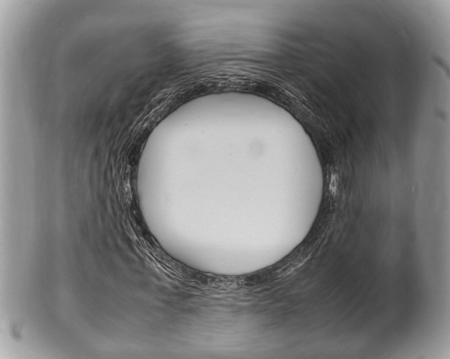 X0000100480771200806130732